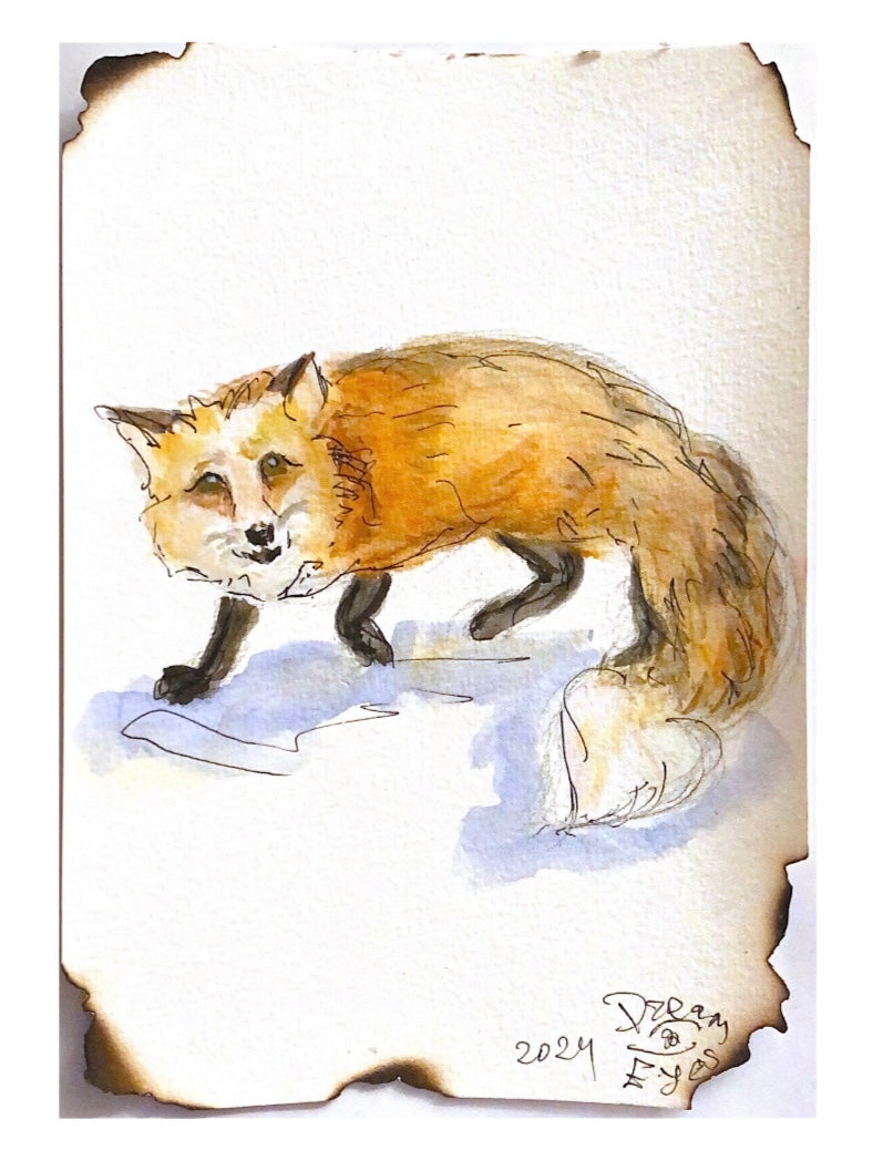Renard Ă l'aquarelle